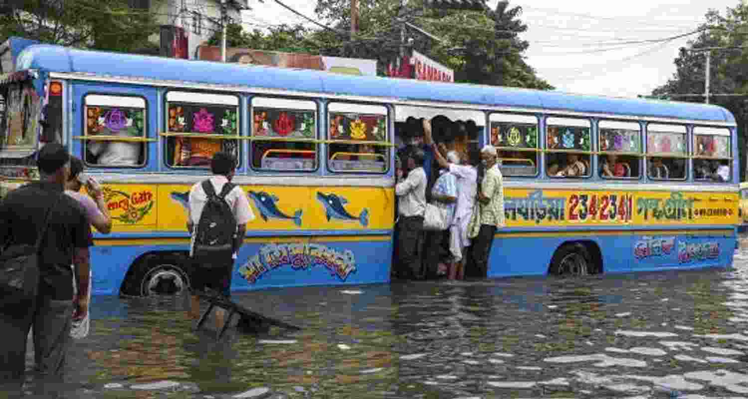 A representative image.