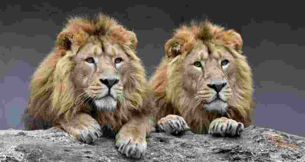 Representational image. 