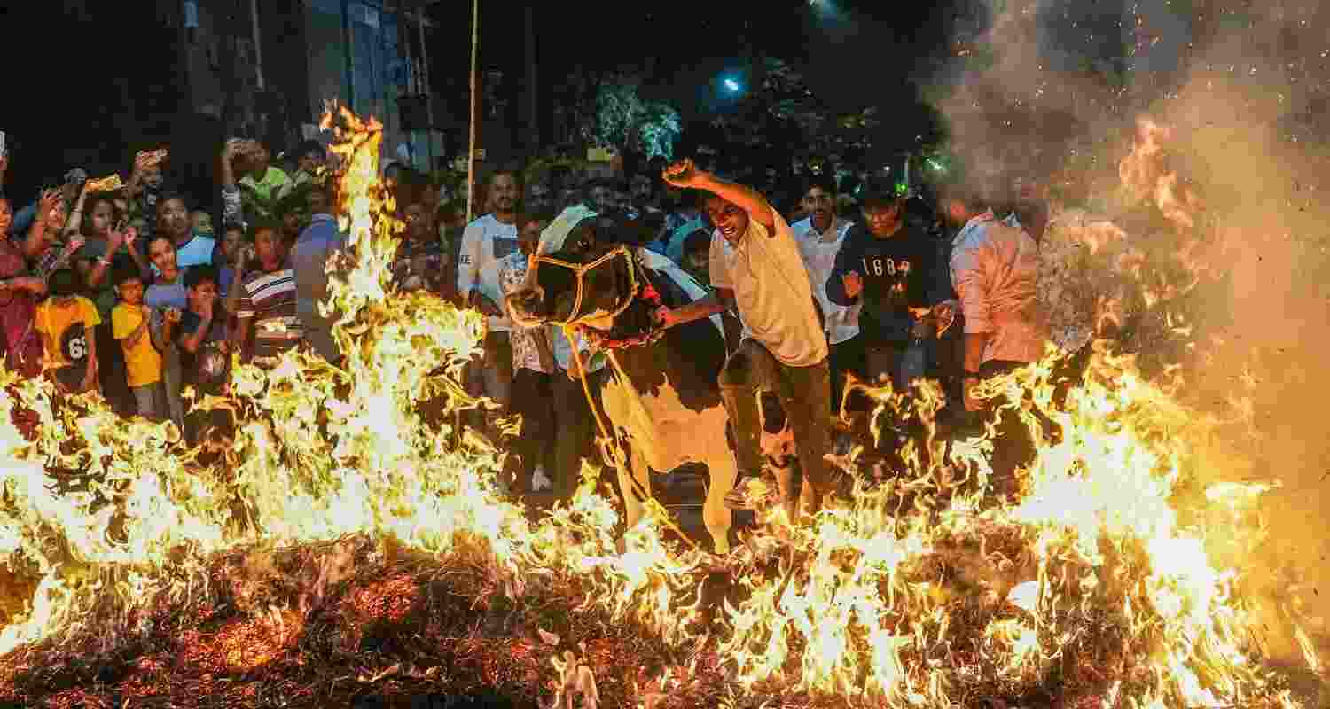 Makar Sankranti, Festival, Tradition, India, Ritual Makar Sankranti, Festival, Tradition, India, Ritual