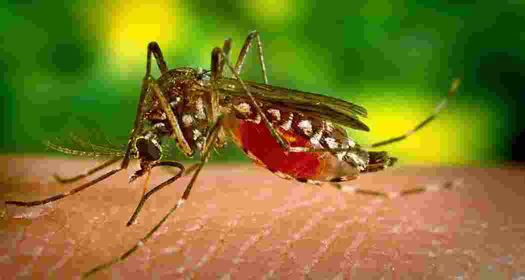 Image for representative use only.