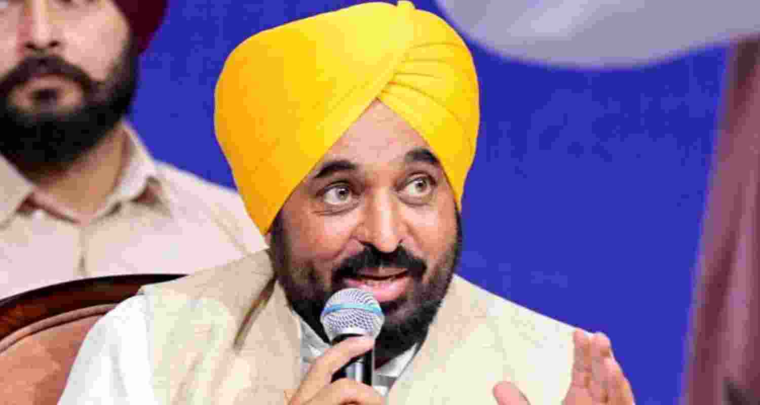Punjab Chief Minister Bhagwant Mann - file image.