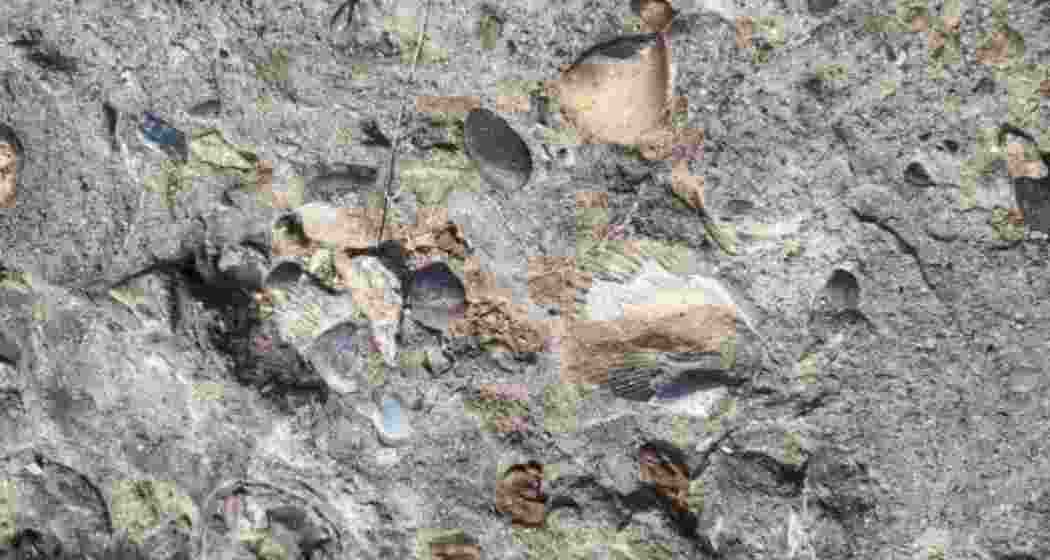 The signs of marine fossils presence discovered in Chhattisgarh.