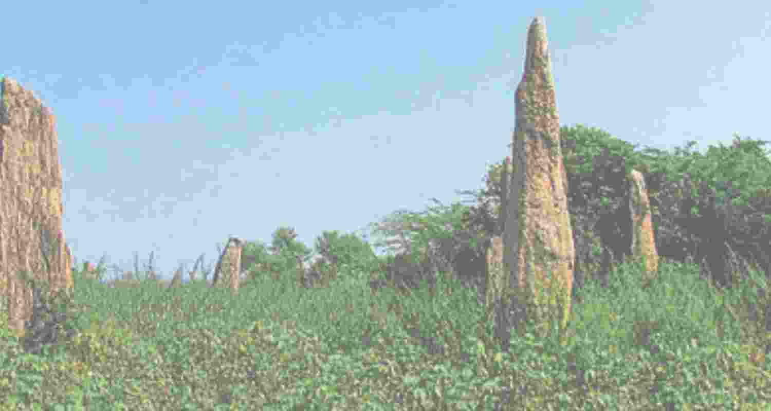 Megalithic stone structures of T'gana make it to UNESCO list