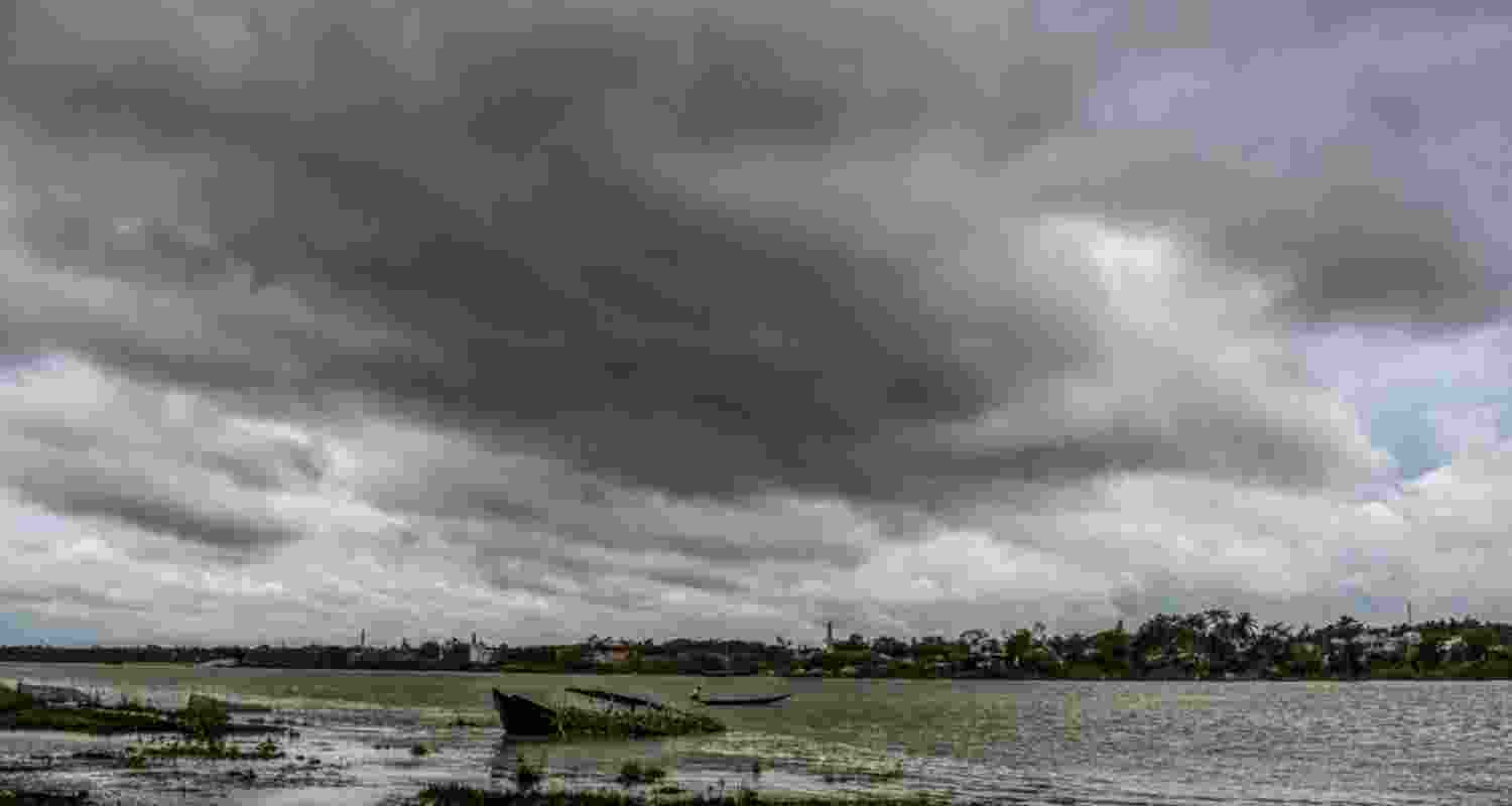 A representative image.