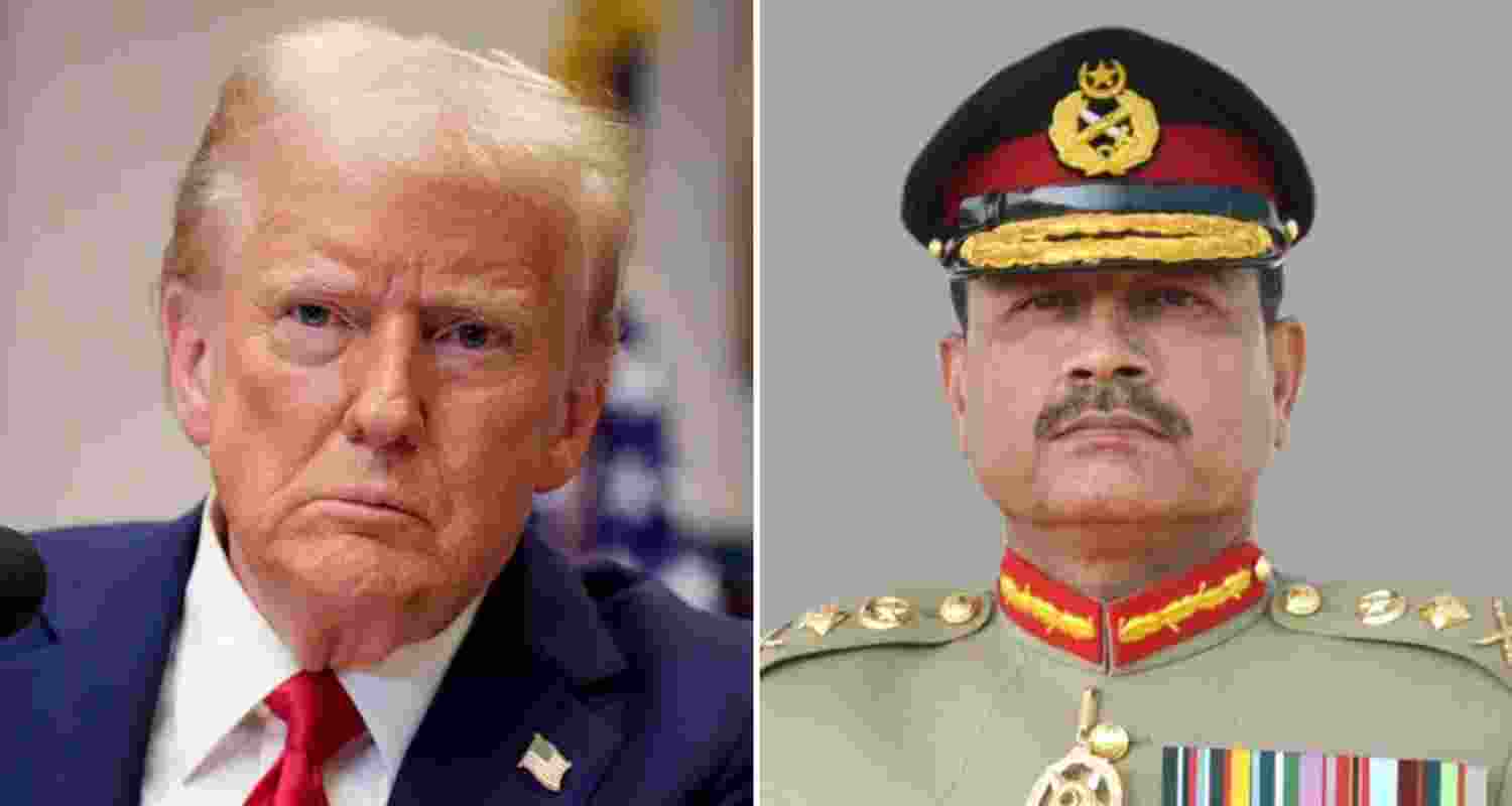 A representative image.