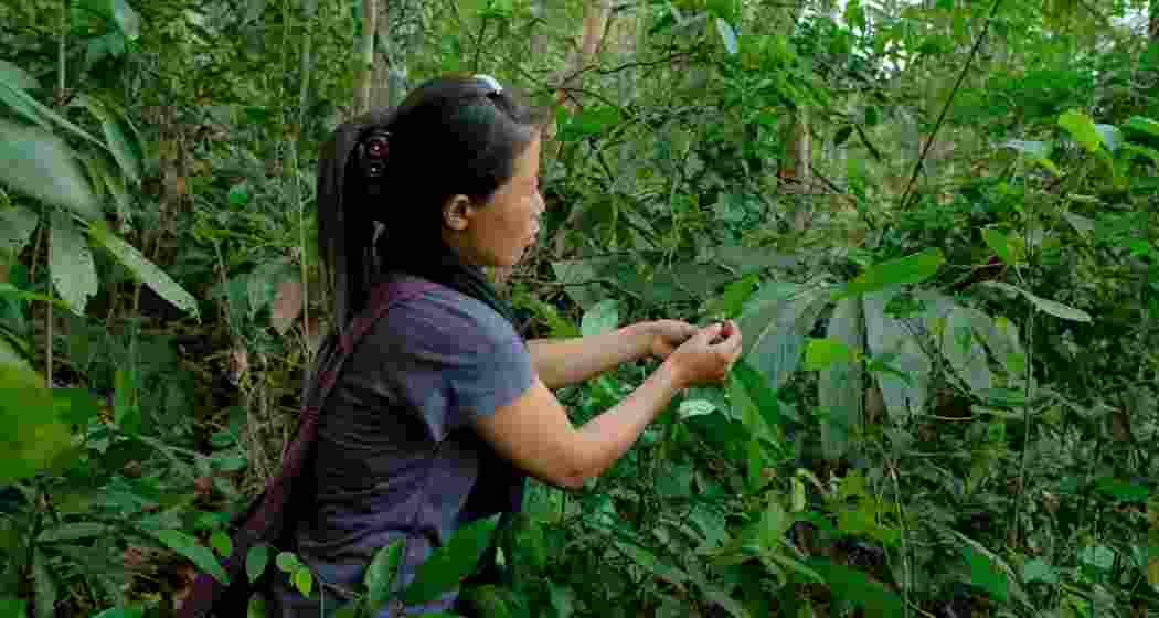 Image for representative use only. Image for representative use only.