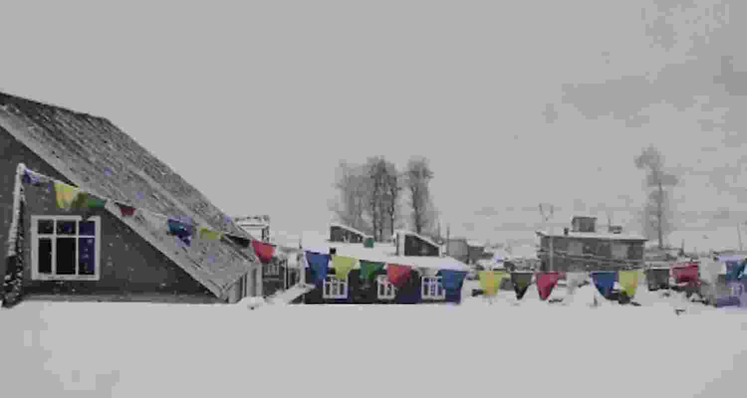 Snowfall delights tourists in Himachal