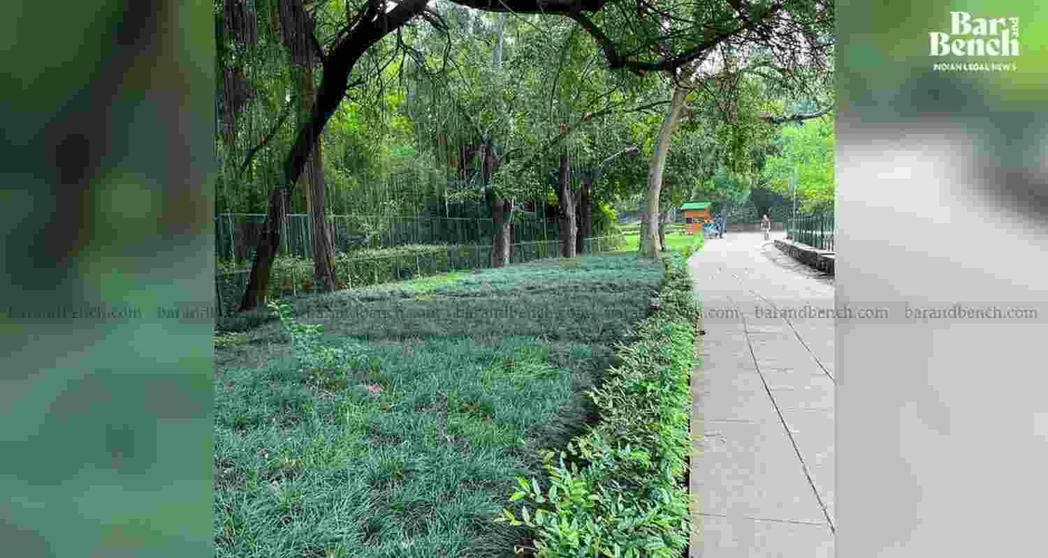 SC stays relocation of deer from Hauz Khas park in Delhi