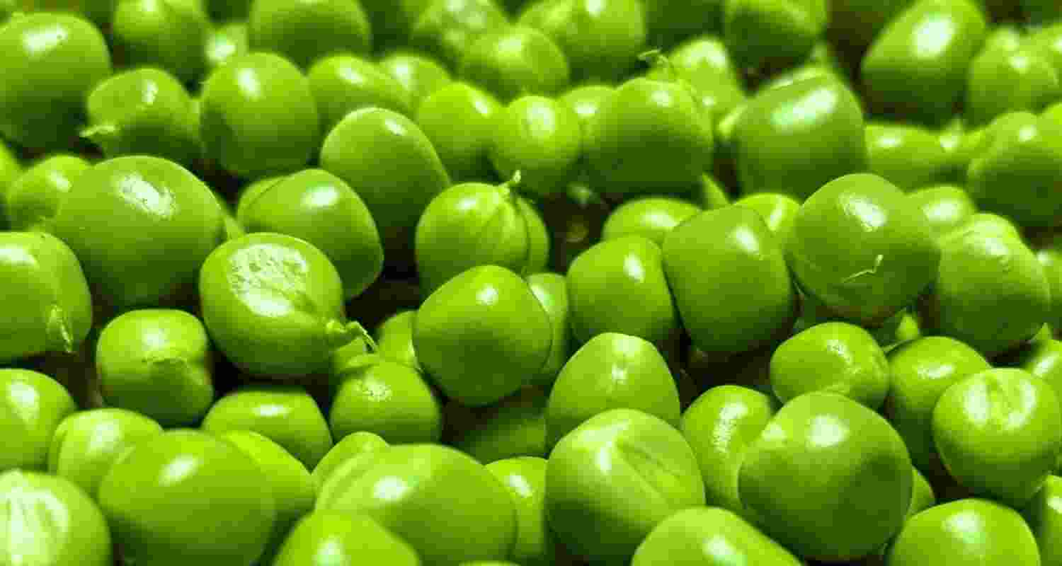 Add peas to your diet, here’s why