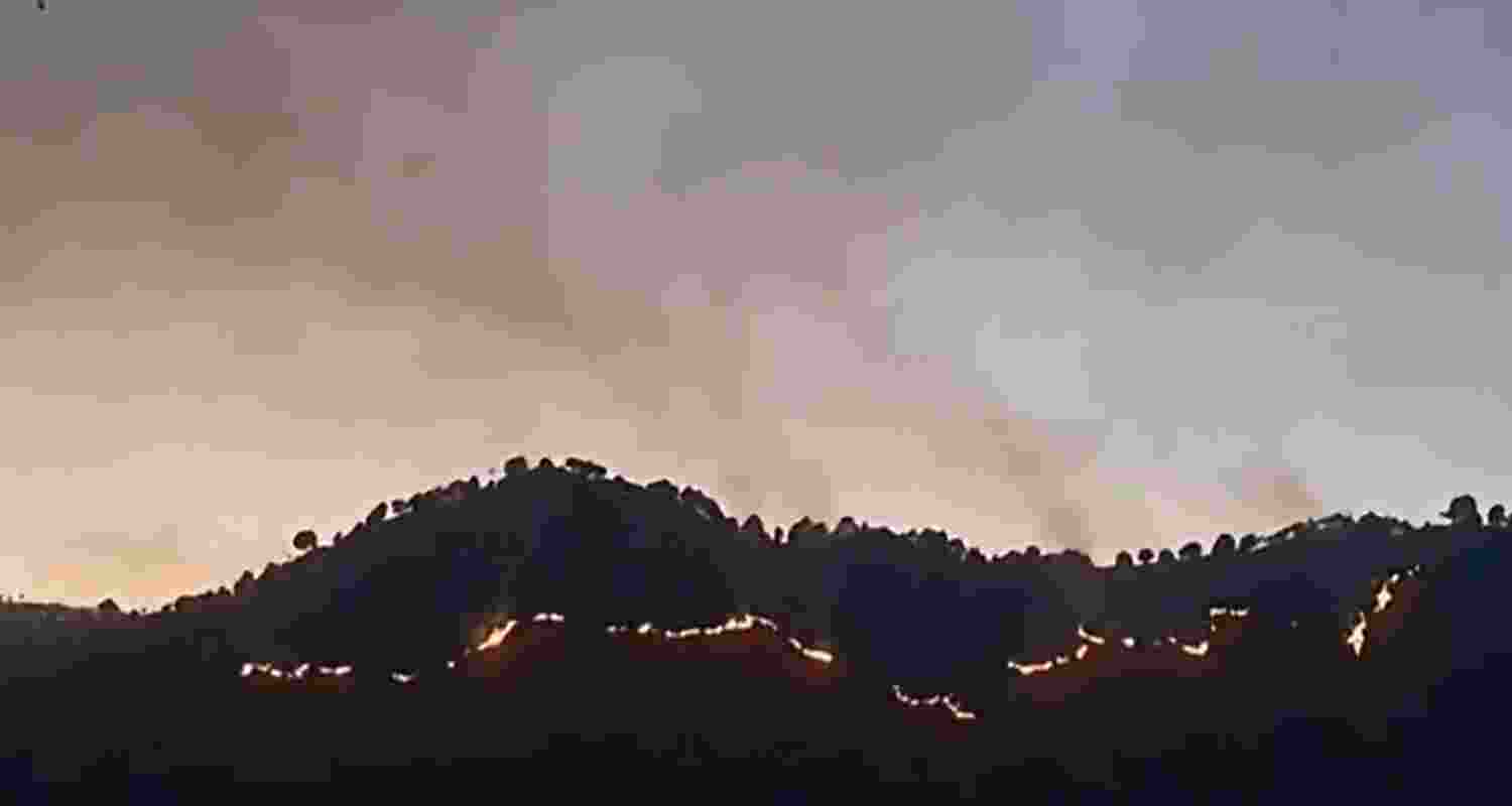 Flames engulfed mountain line in the Uchhad region of thge Mendhar sub-division of the Poonch district. Flames engulfed mountain line in the Uchhad region of thge Mendhar sub-division of the Poonch district.