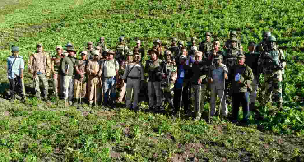 Security Forces during the clearing of poppy fields across Manipur’s hill range, part of a coordinated operation against illegal cultivation sites in the region.