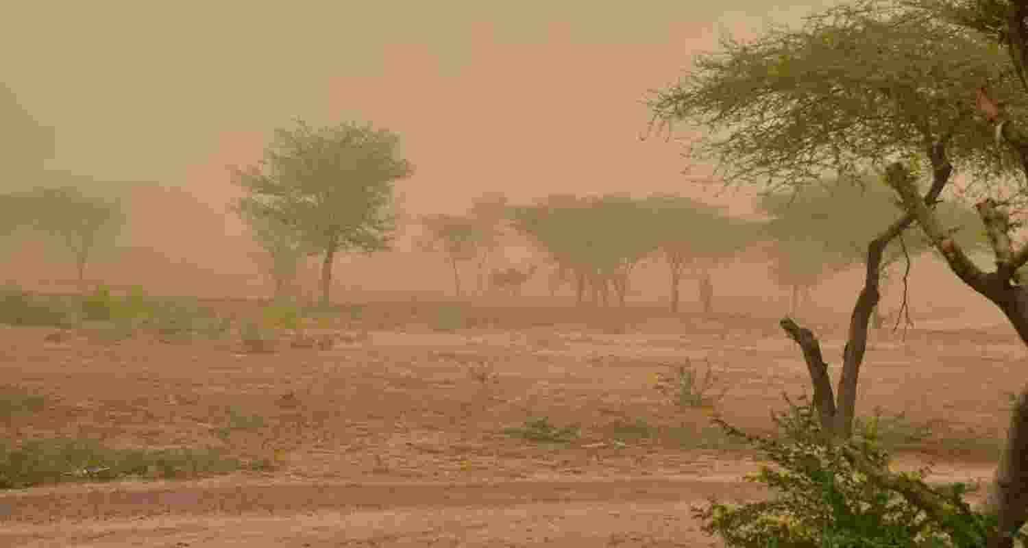 Dust storms, rain cool down scorching Rajasthan