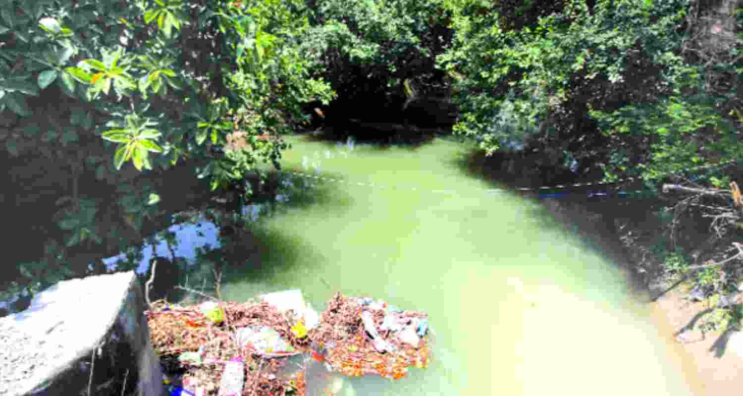 Ranbir canal on the Chenab river. 