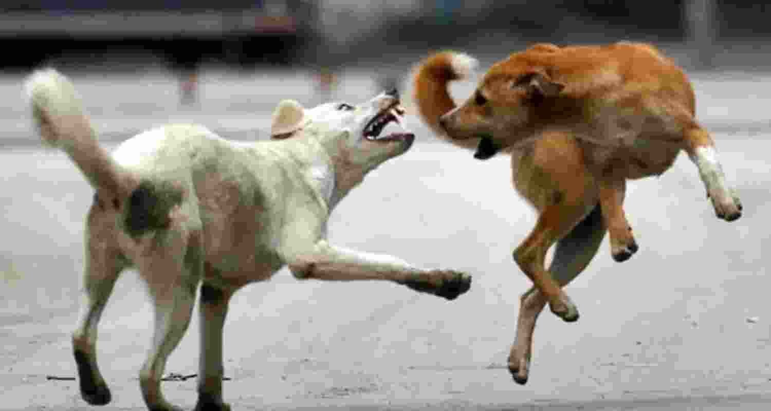 Representational image.