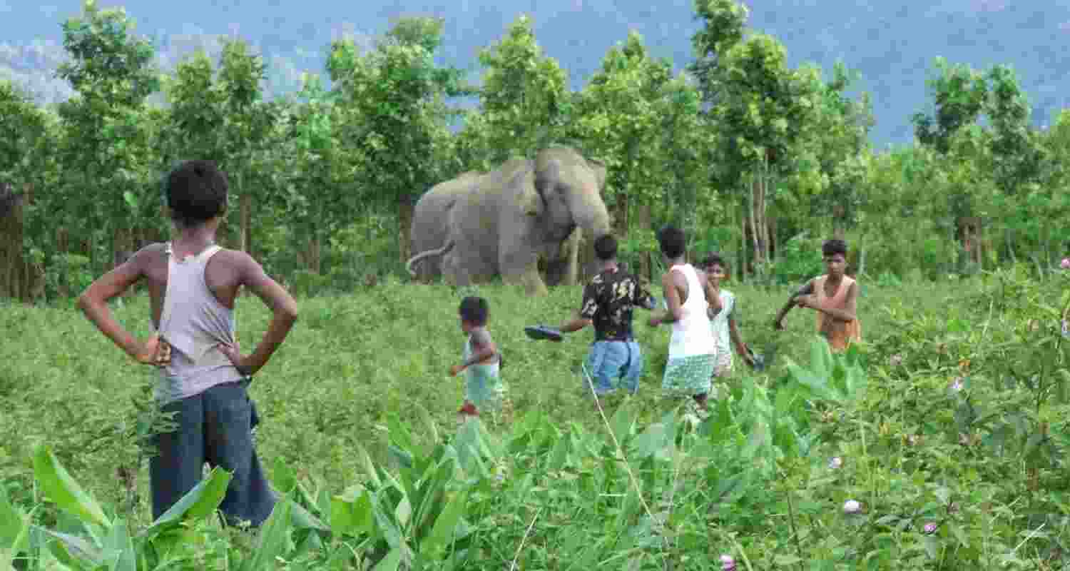 Representational image. 
