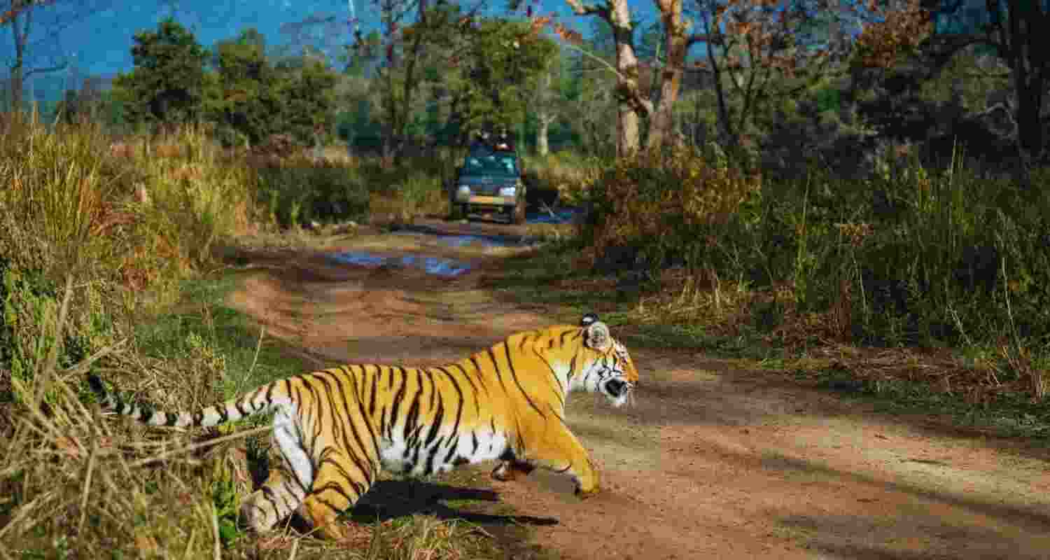 Representational image