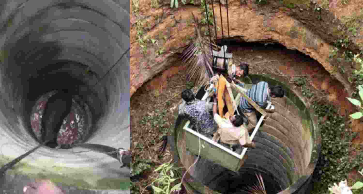 Elephant falls in well. Elephant falls in well.