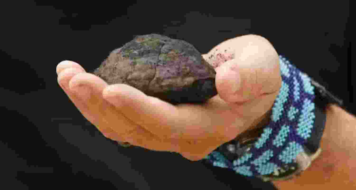 Is deep-sea mining causing more environmental harm?