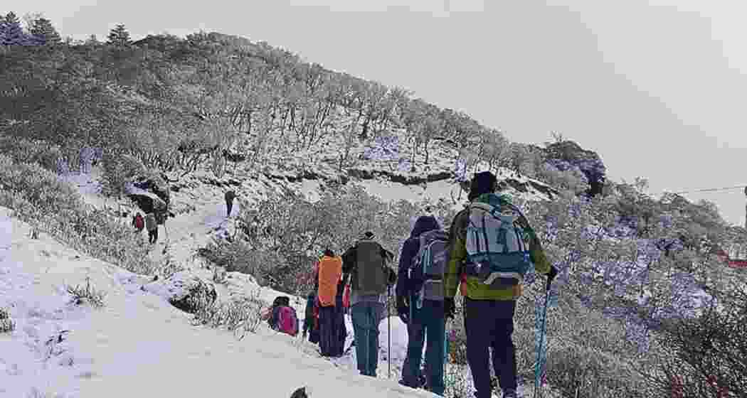 Trekkers on their way to the summit of Sandakphu, with Kanchenjunga in the backdrop.