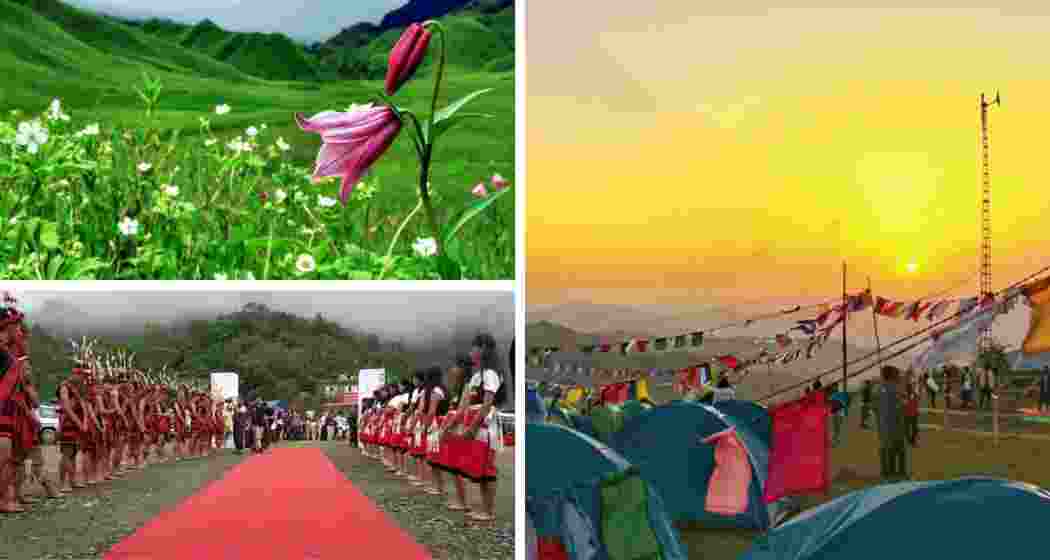 The rare Shirui Lily, in Manipur’s Ukhrul district, showcases the rich culture and heritage of the Tangkhul Naga community, drawing tourists from across the country.