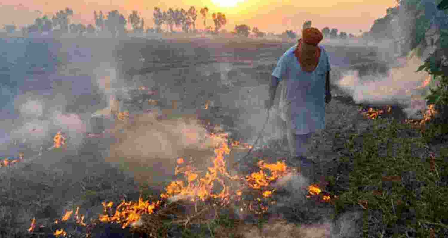 Representative Image. 