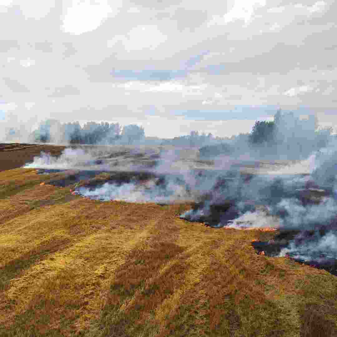 SC says stubble burning not sole reason for pollution, seeks ATR SC says stubble burning not sole reason for pollution, seeks ATR