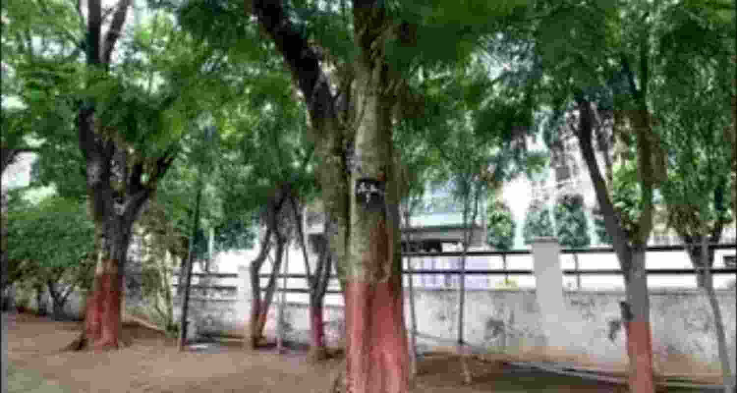 DLF residents have tagged the trees to prevent felling.
