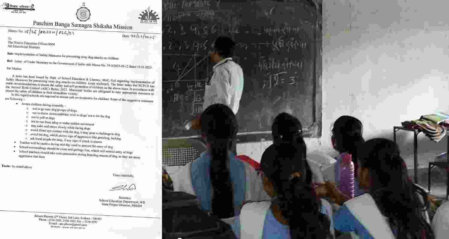 WB govt: Teach students about street dog risks WB govt: Teach students about street dog risks