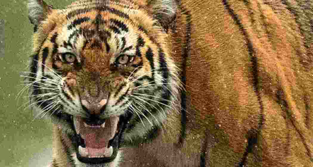 Image for representative use only.