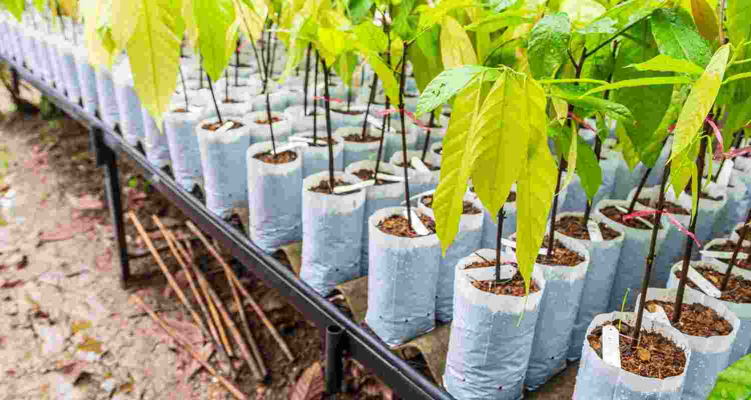 Representative Image. 