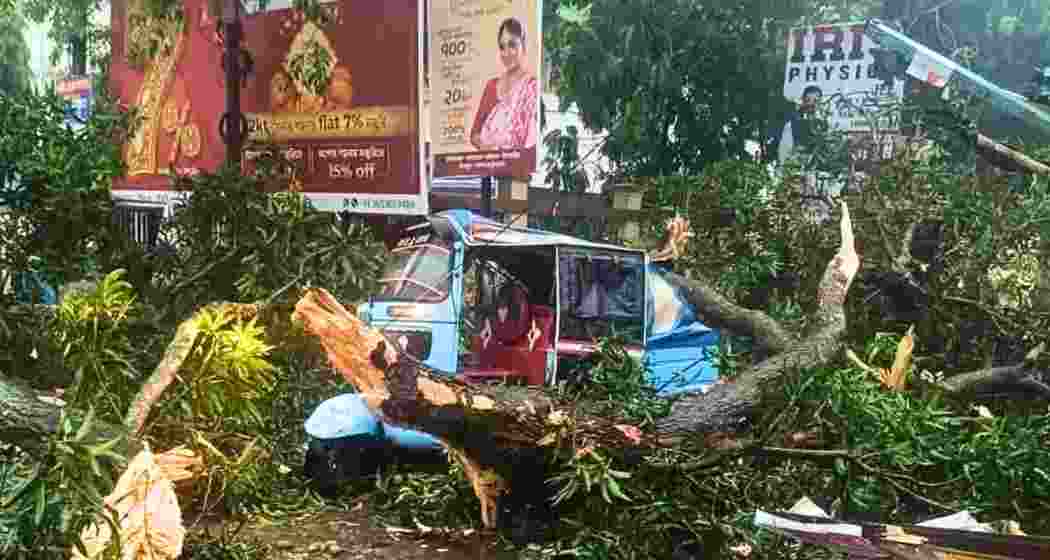 Fallen tree branches lie on an autorickshaw after heavy rain and storms caused widespread damage in Tripura.