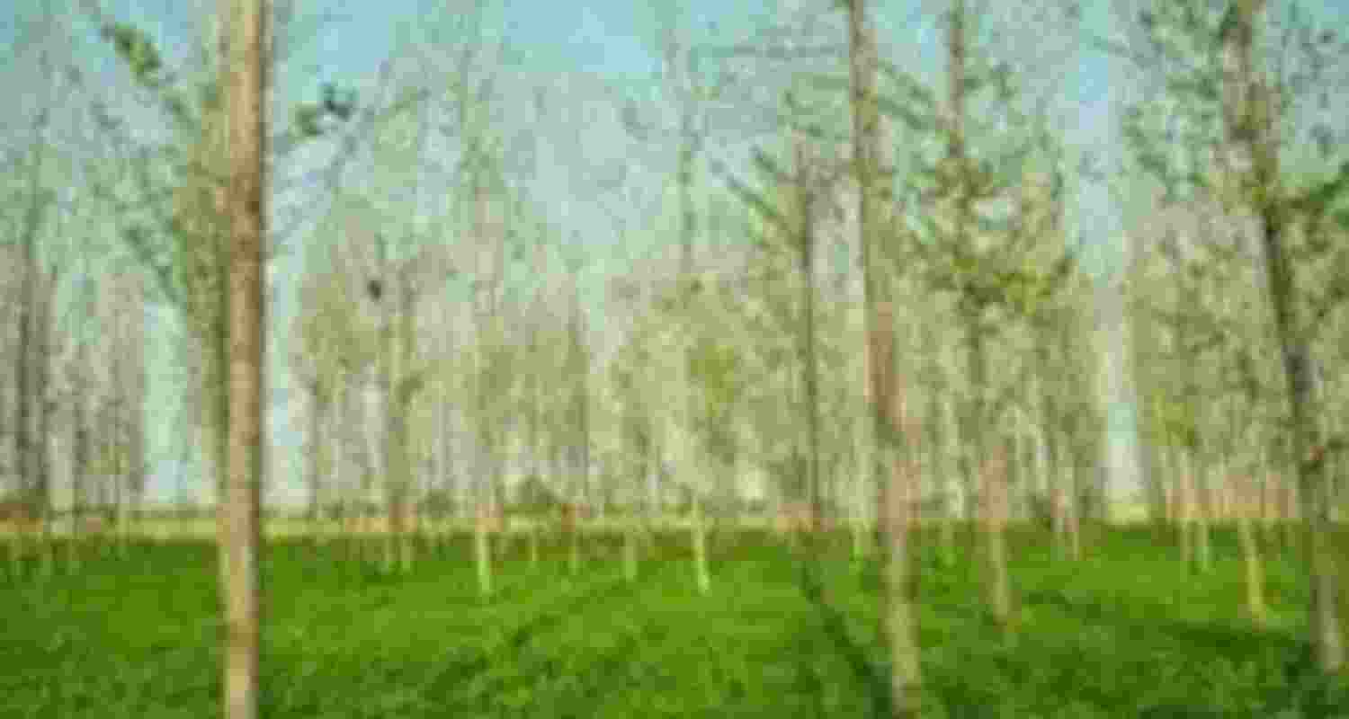 Representative Image Representative Image