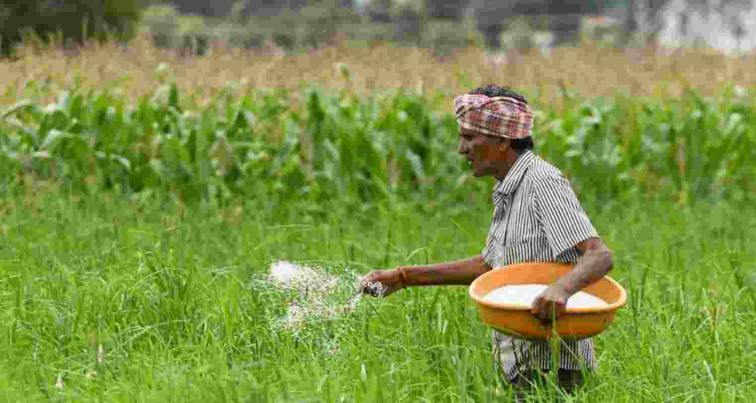 Gujarat farmers drive change with advanced Nano, Urea technology. Gujarat farmers drive change with advanced Nano, Urea technology.