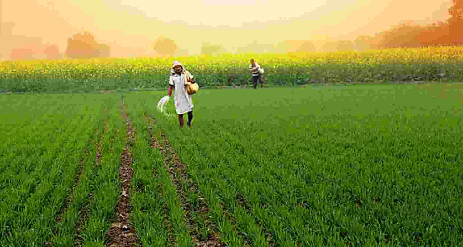 India’s Agri Sector Expected to Grow 3.5 to 4 PC in FY25.