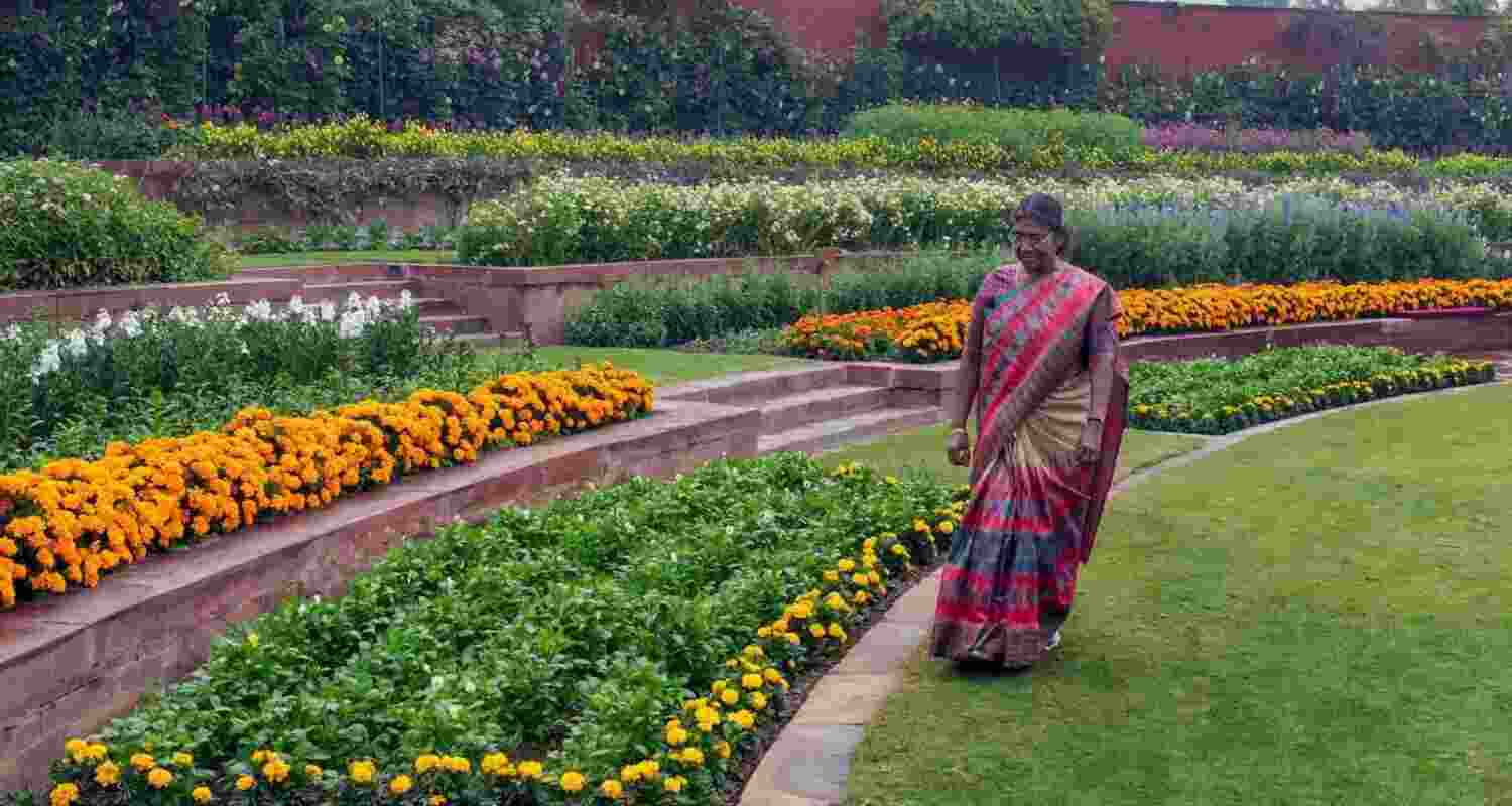 Amrit Udyan at Rashtrapati Bhavan Welcomes Visitors in 2025. File Photo.