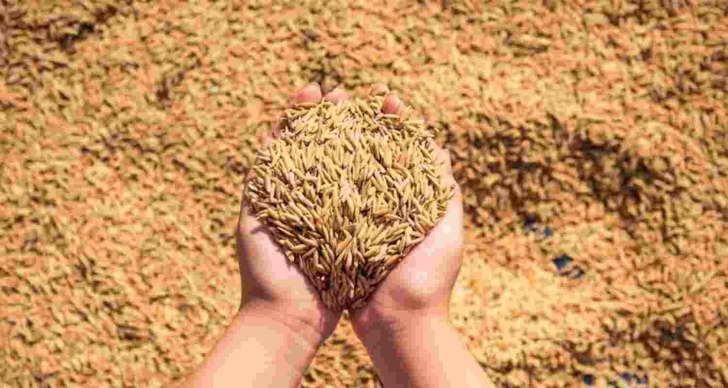 India is the world’s biggest producer and exporter of rice, accounting for 40 per cent of global rice shipments
