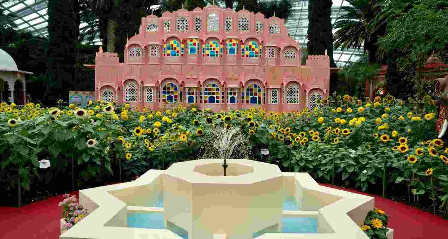 Gardens by the Bay hosts sunflower show for India, Singapore relations.