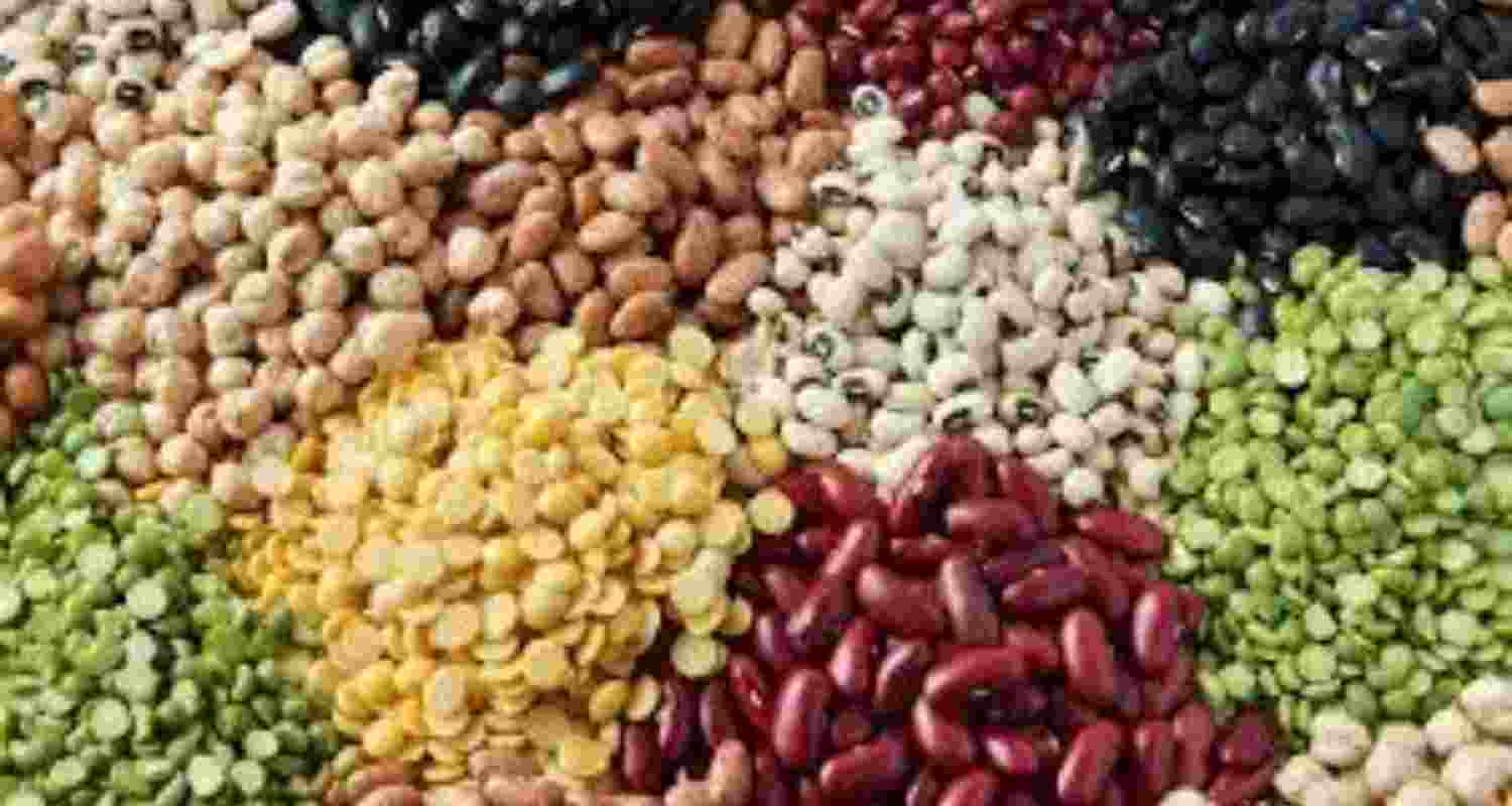 A government presentation showed India's production of pulses, oilseeds has increased in the past decade A government presentation showed India's production of pulses, oilseeds has increased in the past decade