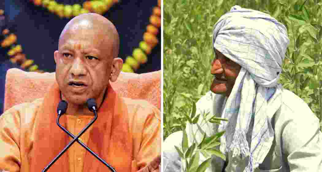 The UP govt has released financial assistance to farmers under crop insurance and accident relief schemes.