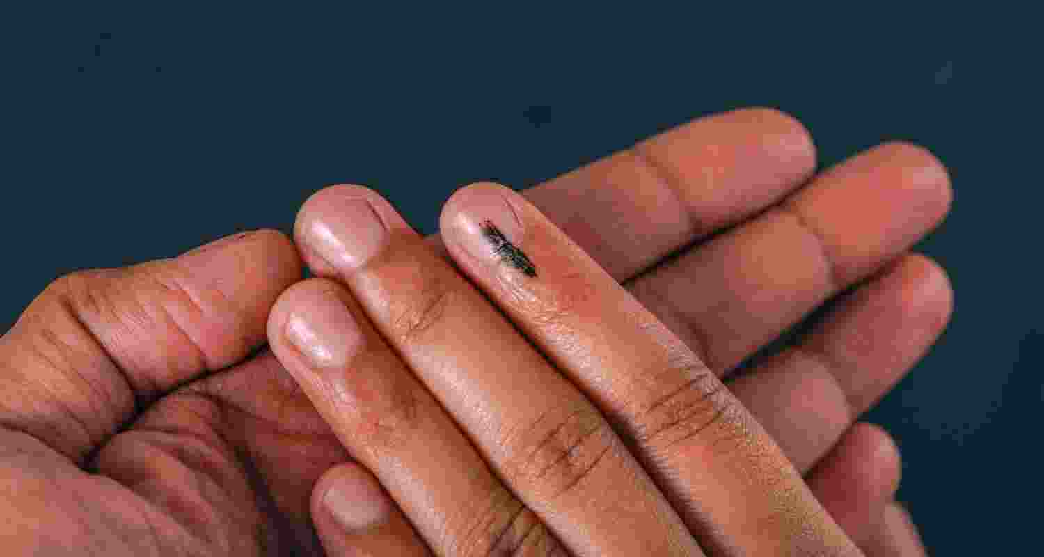 The hand of a person inked after casting vote. 