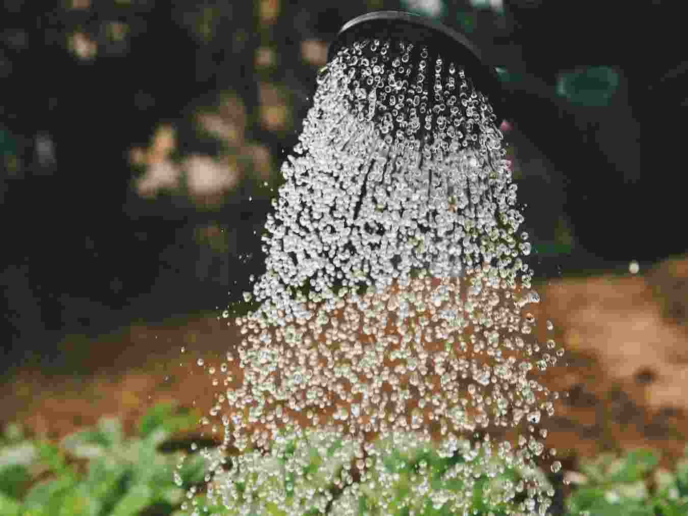 Promoting reuse of greywater is important as water demand in Bengaluru is projected to cross 5,340 million litres per day by 2030. Promoting reuse of greywater is important as water demand in Bengaluru is projected to cross 5,340 million litres per day by 2030.