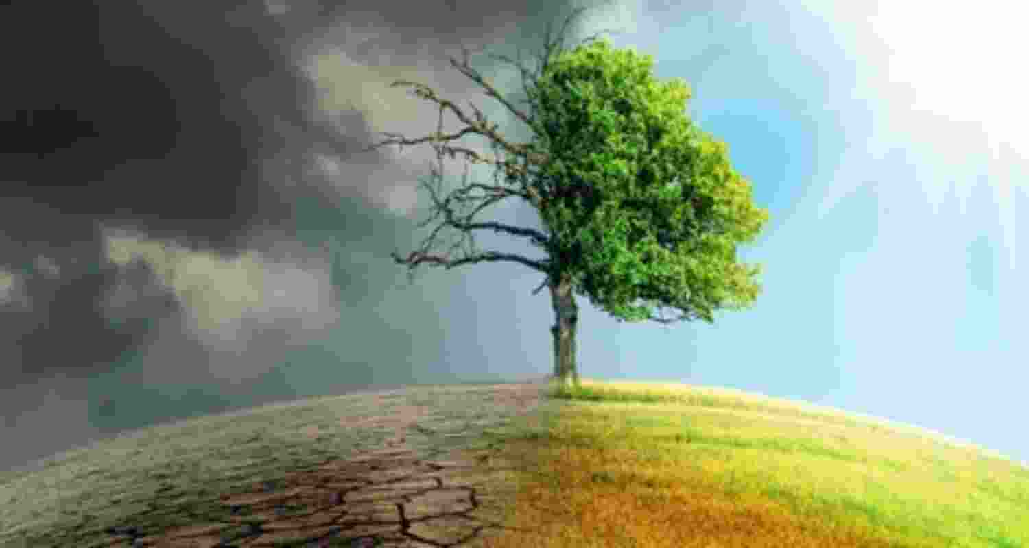 Impact of climate change. Representational Image. Impact of climate change. Representational Image.