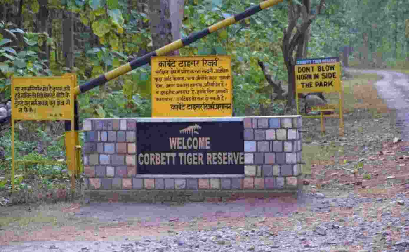 Apex court was hearing petition alleging that forest officials allowed a private operator to ply buses within the core area of the tiger reserve as some villages within the park did not have access to roads. Apex court was hearing petition alleging that forest officials allowed a private operator to ply buses within the core area of the tiger reserve as some villages within the park did not have access to roads.