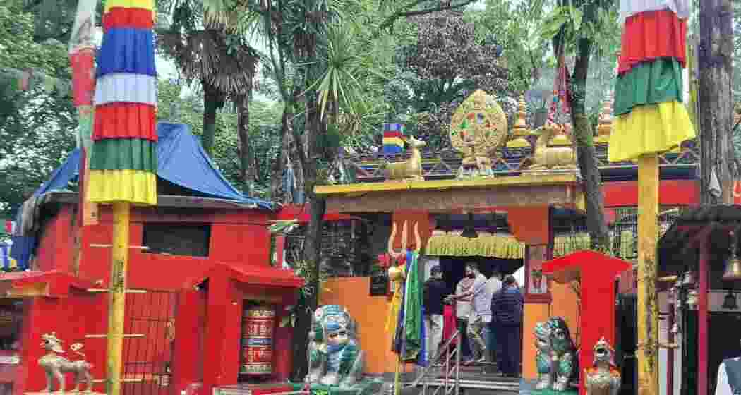 A representative image.