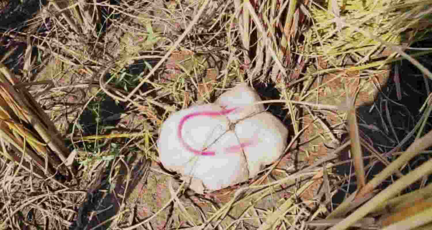 Drones, pistols, heroin seized along India-Pak Punjab border