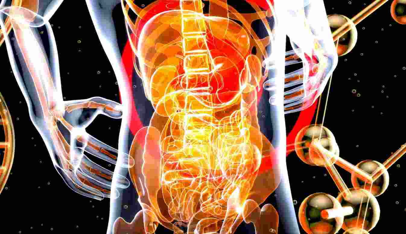 Your microbiome is collectively the tens of trillions of microorganisms that live in interconnected populations on and in your body. They serve as miniature sentinels that help protect your body’s surfaces from bacteria and viruses.