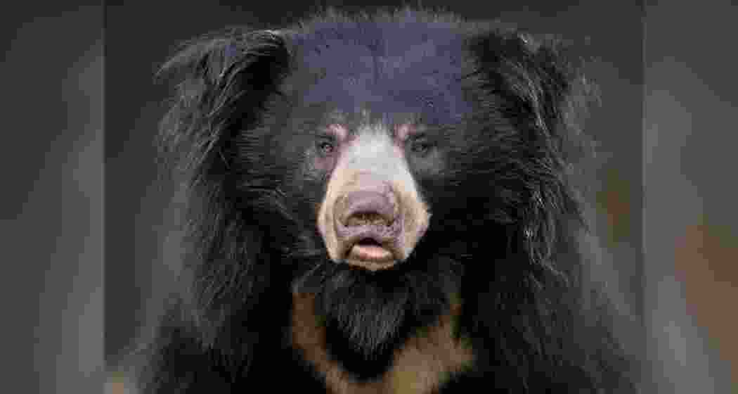 Image for representative use only. Image for representative use only.