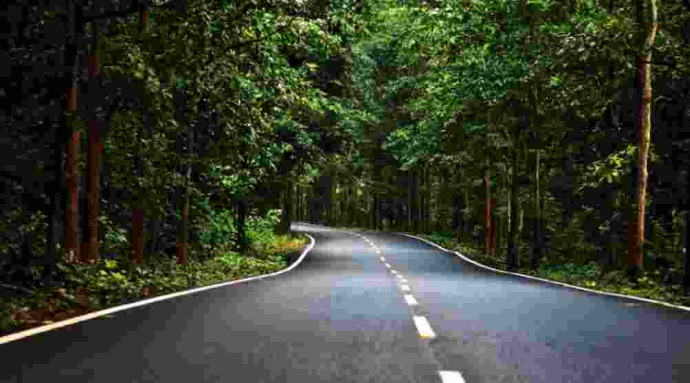 The Saranda Forest region also holds significant cultural and livelihood importance for the local tribal communities who depend on its forests and minerals for their sustenance.