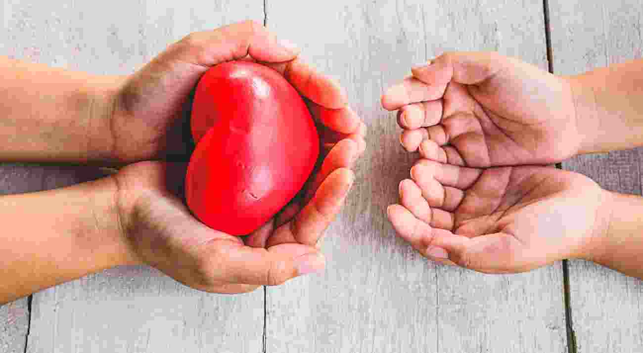 Organ Donation in India
