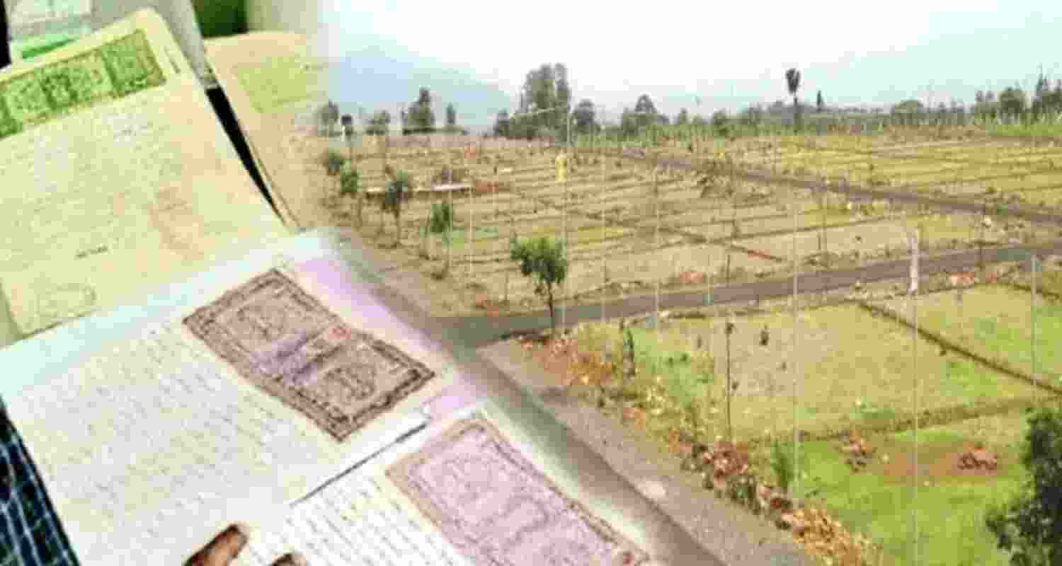 Representational Image.